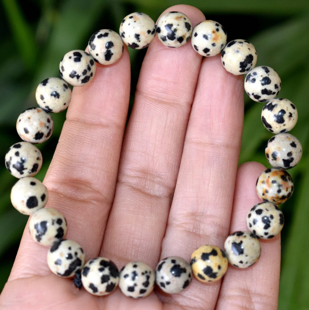 Dalmatian Jasper Bracelet - 8mm